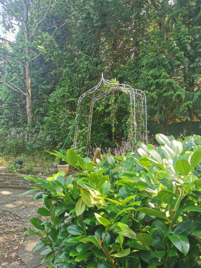 Peaceful Retreat Hideaway Surrey Apartment Ишър Екстериор снимка